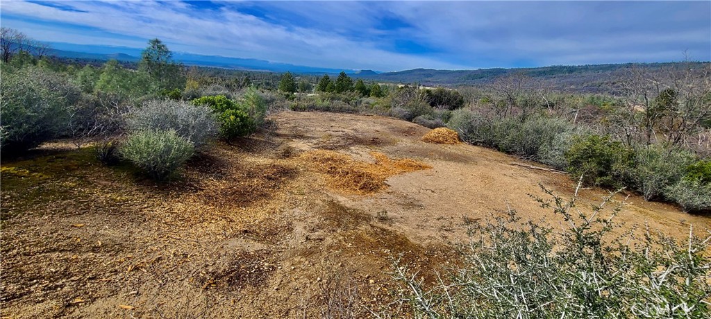 13 Battle View Drive Manton, CA 96059 - Photo 14 of 19