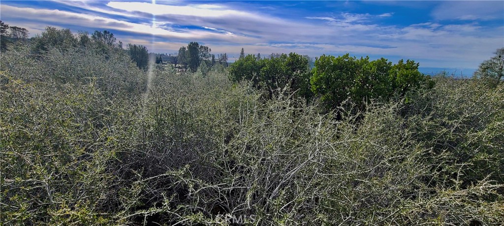 13 Battle View Drive Manton, CA 96059 - Photo 16 of 19