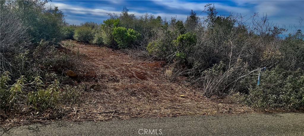 13 Battle View Drive Manton, CA 96059 - Photo 2 of 19