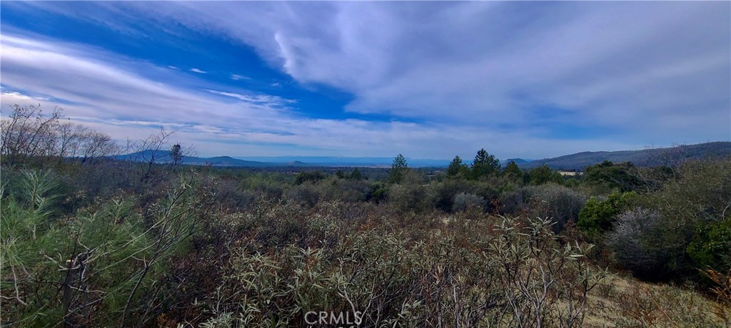 13 Battle View Drive Manton, CA 96059 - Photo 7 of 19