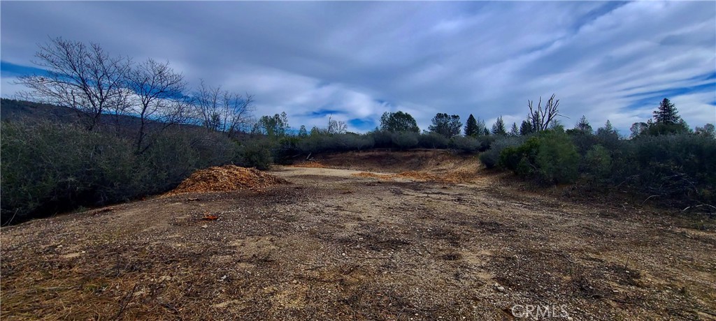 13 Battle View Drive Manton, CA 96059 - Photo 8 of 19