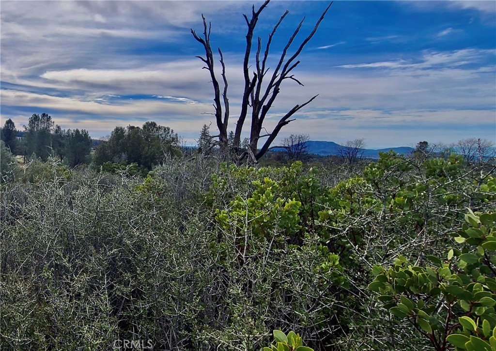 13 Battle View Drive Manton, CA 96059 - Photo 10 of 19