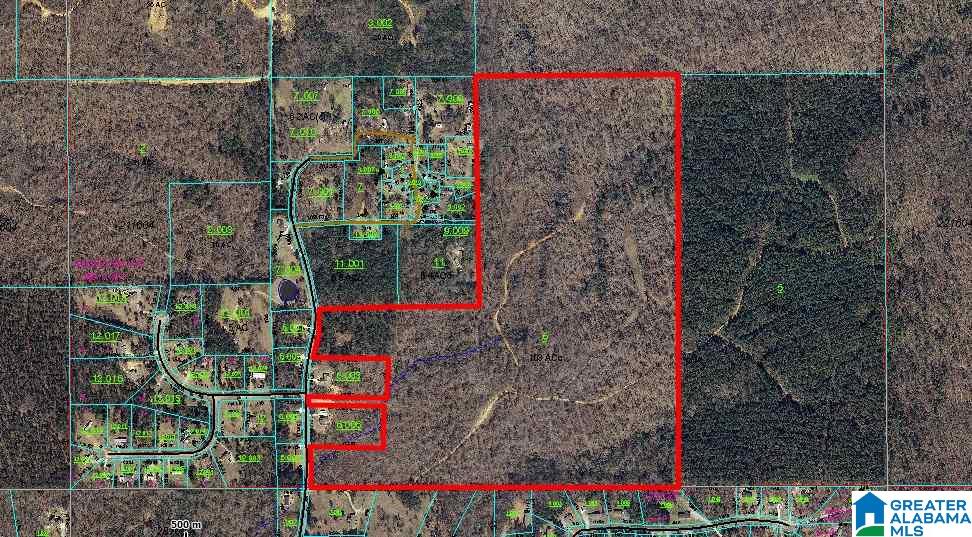 Sprayberry Road, Unit 103 Cropwell, AL 35054 - Photo 46 of 48
