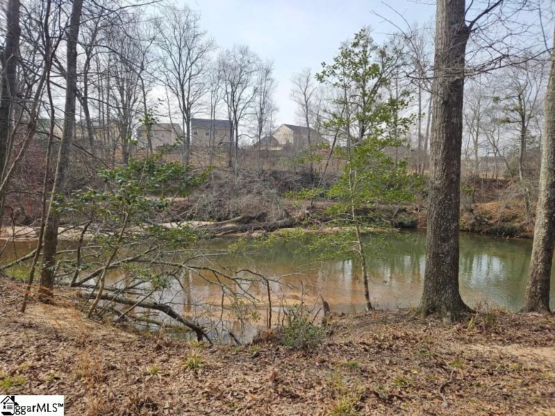 42 Comanche Trail Greenville, SC 29607 - Photo 44 of 47