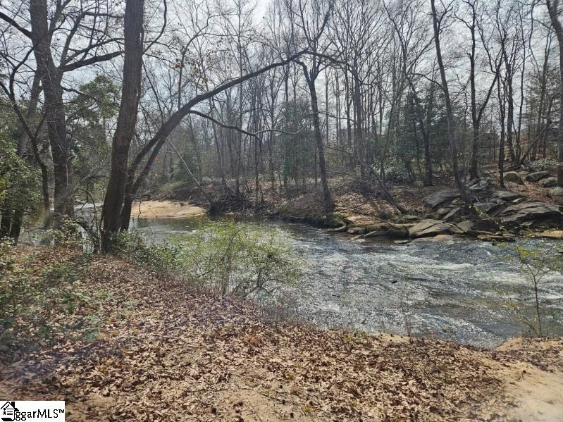 42 Comanche Trail Greenville, SC 29607 - Photo 45 of 47