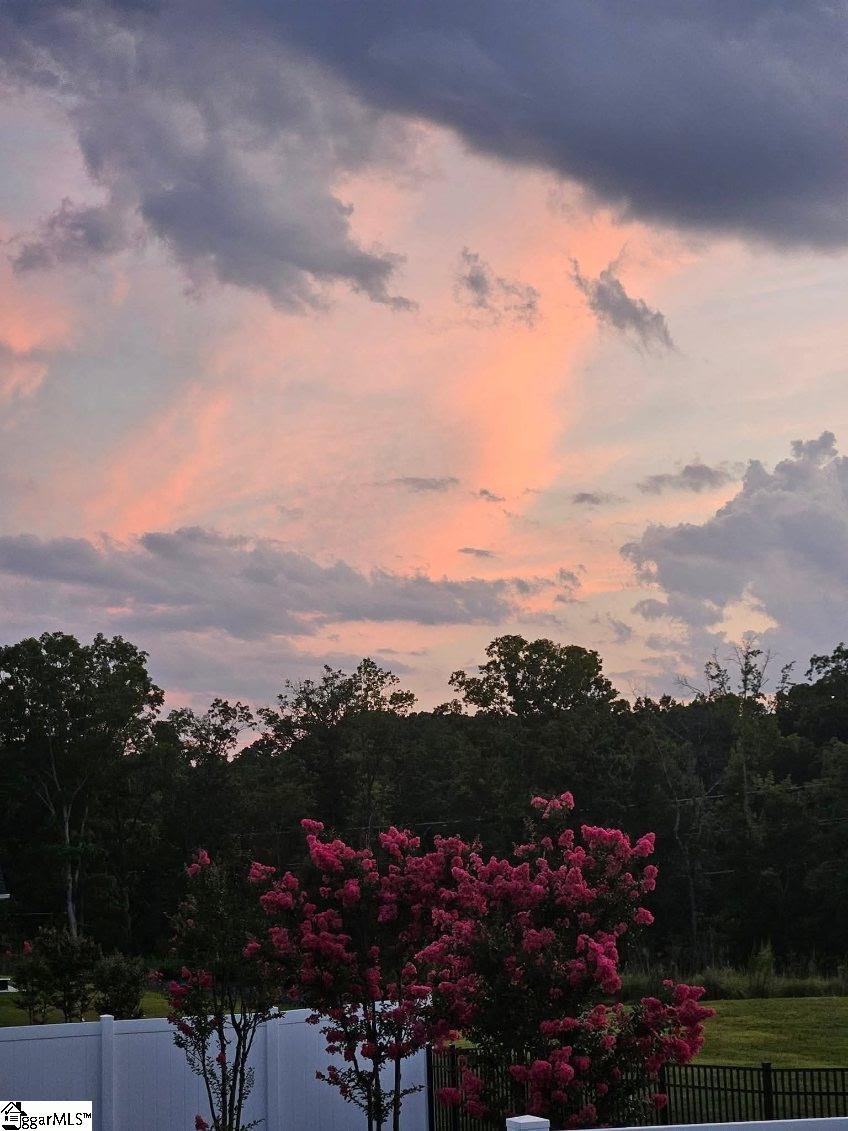 42 Comanche Trail Greenville, SC 29607 - Photo 46 of 47