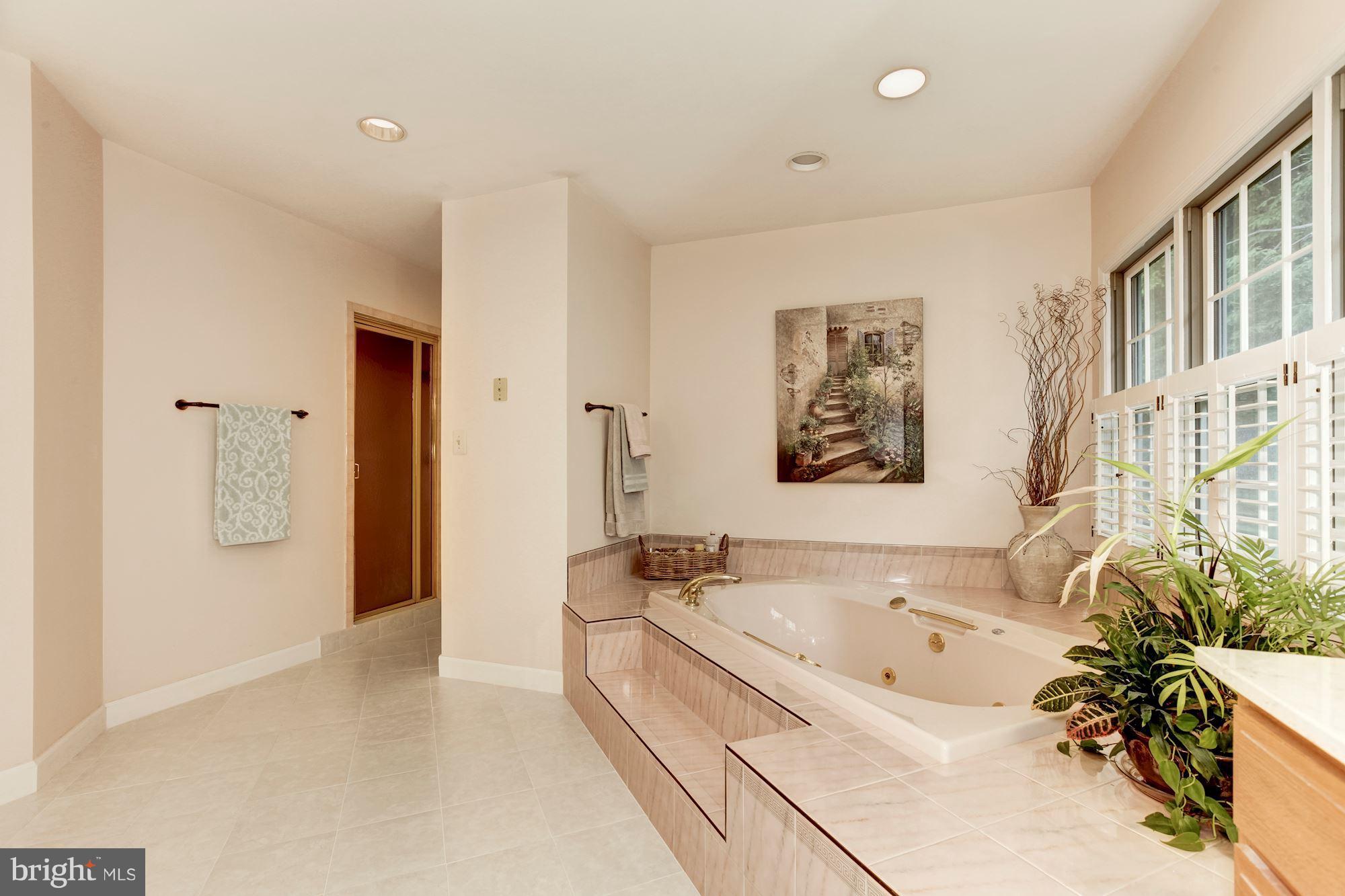 9620 Watkins Road Gaithersburg, MD 20882 - Photo 14 of 30 Bath (Master)