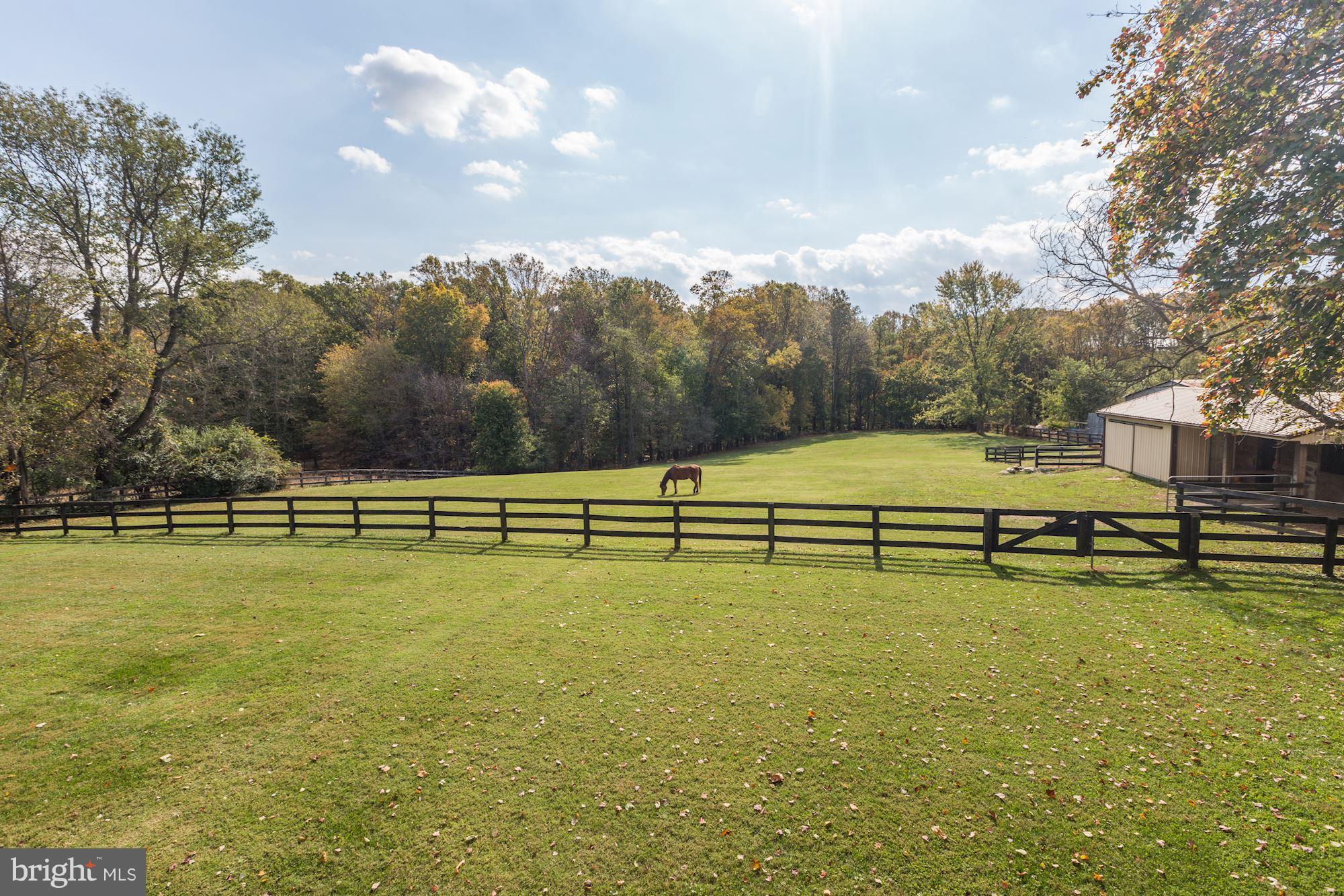 9620 Watkins Road Gaithersburg, MD 20882 - Photo 29 of 30 Pasture