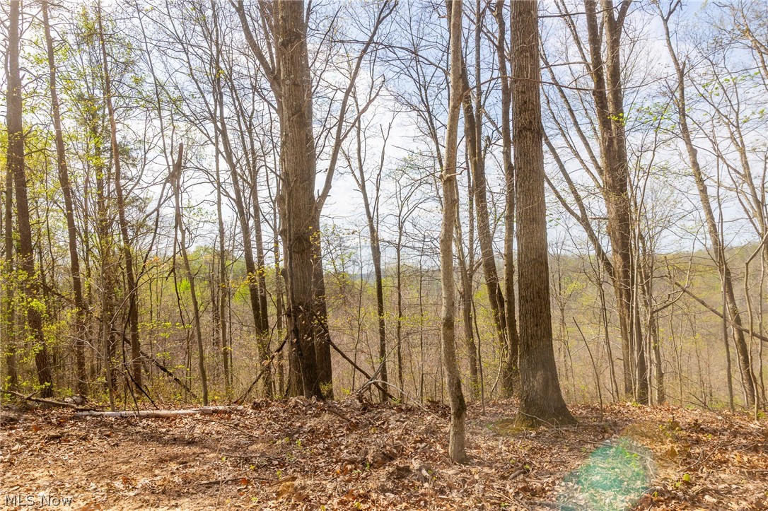 0 Twp Road, Unit 5 Whipple, OH 45788 - Photo 8 of 12