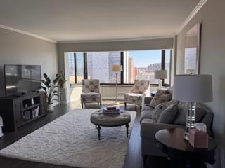 207 5th Avenue Southwest, Unit 808 Rochester, MN 55902 - Photo 2 of 27