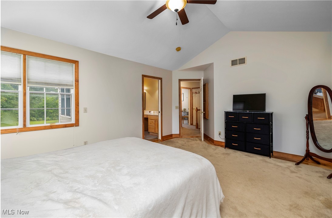 177 Mishler Road Mogadore, OH 44260 - Photo 25 of 50 Master bedroom featuring vaulted ceiling, walk in closet, lighter hardwood flooring border around carpeting, upper level