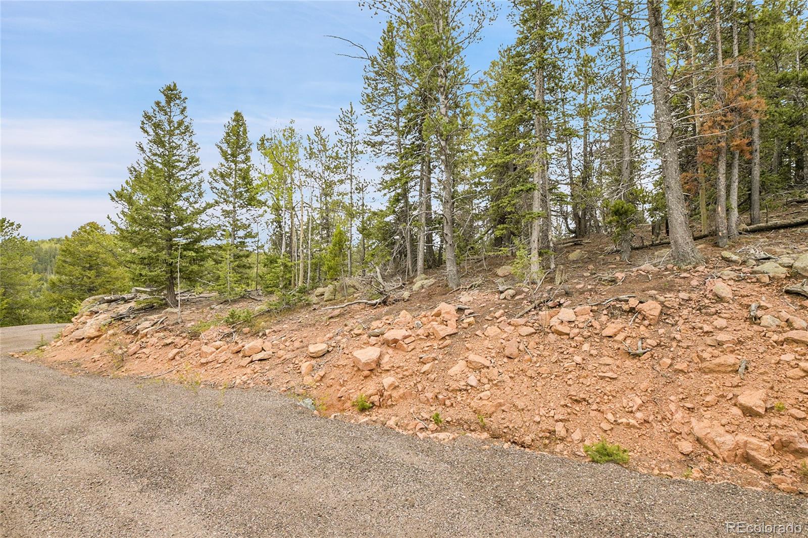 0 Mule Slide Trail Conifer, CO 80433 - Photo 11 of 40 a view of a yard with trees