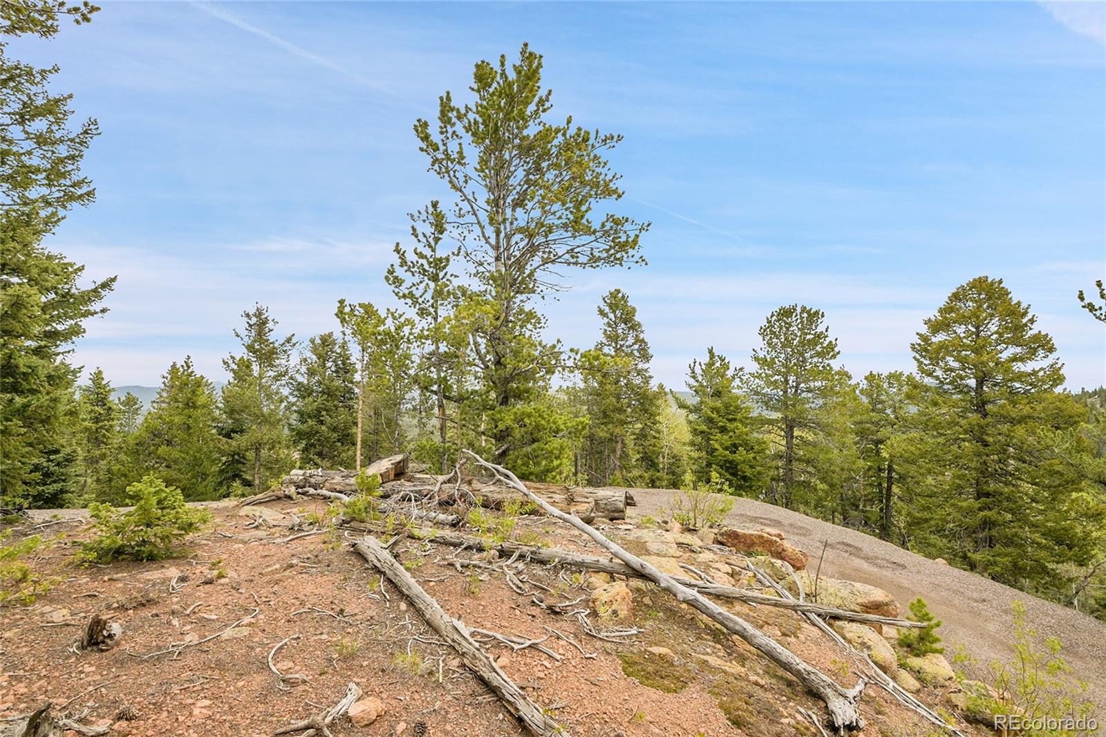 0 Mule Slide Trail Conifer, CO 80433 - Photo 14 of 40 a view of a backyard of the house