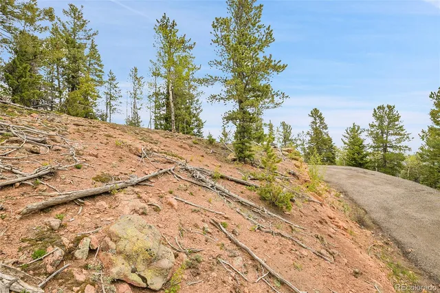 a view of a yard with trees