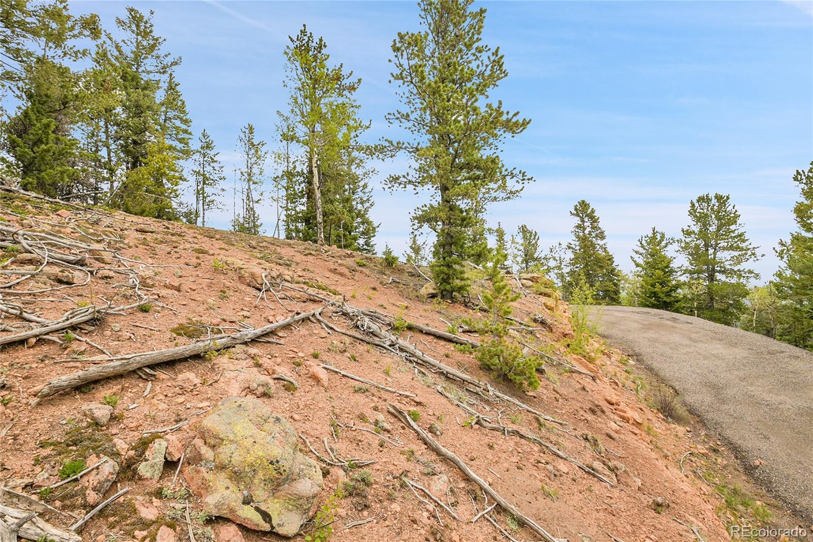 0 Mule Slide Trail Conifer, CO 80433 - Photo 16 of 40 a view of a backyard of the house