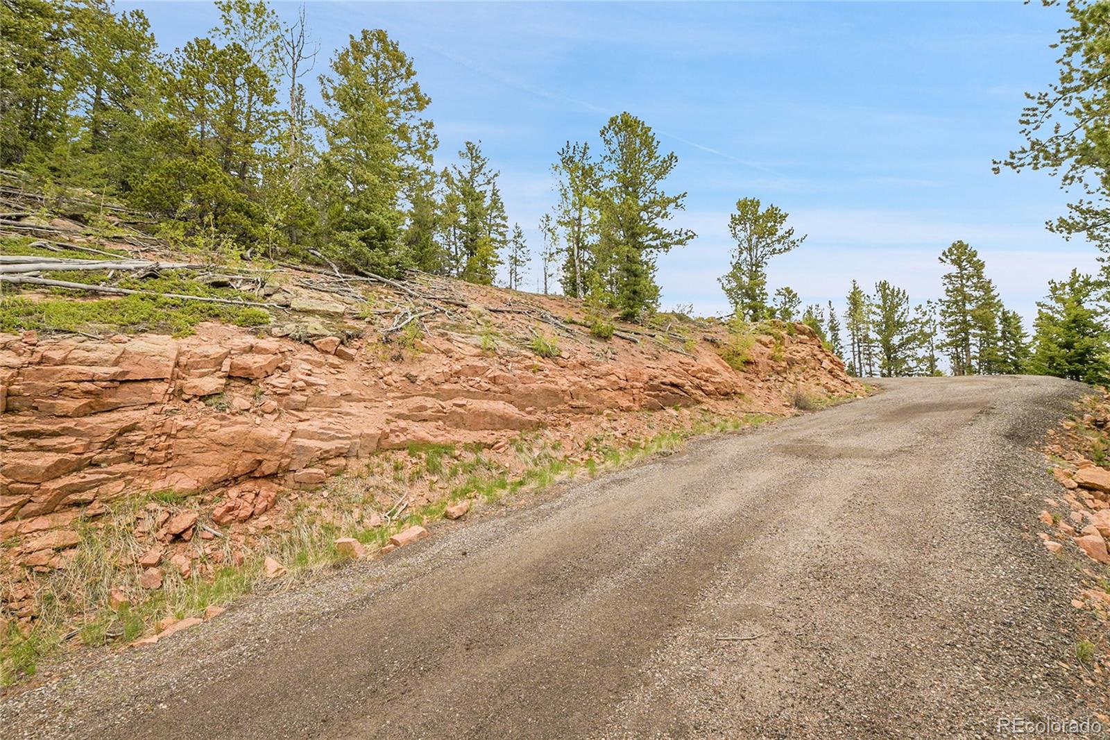 0 Mule Slide Trail Conifer, CO 80433 - Photo 18 of 40 a view of a yard with trees