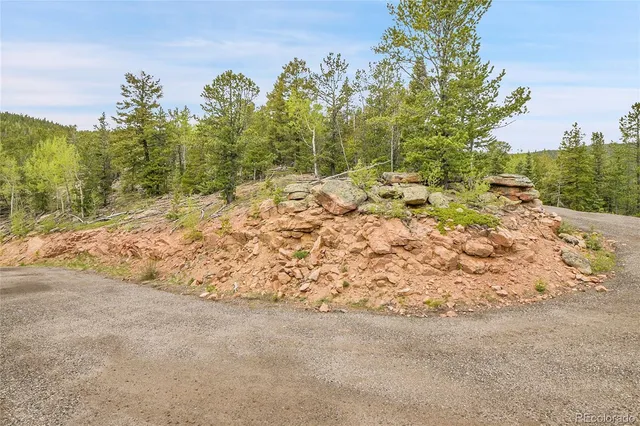 a view of a yard with plants and trees