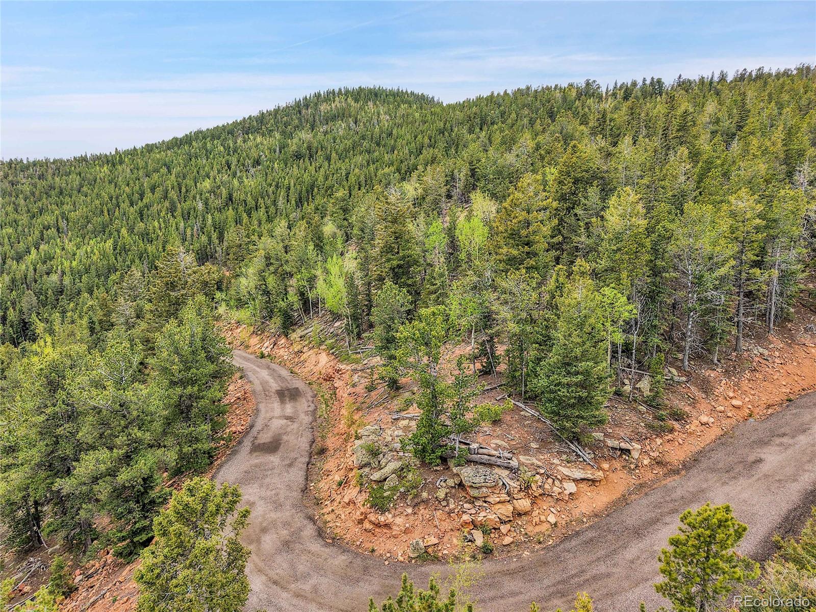 0 Mule Slide Trail Conifer, CO 80433 - Photo 2 of 40 a view of a large yard with lots of trees