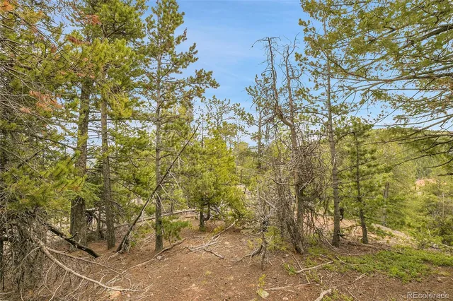 a view of a garden with trees