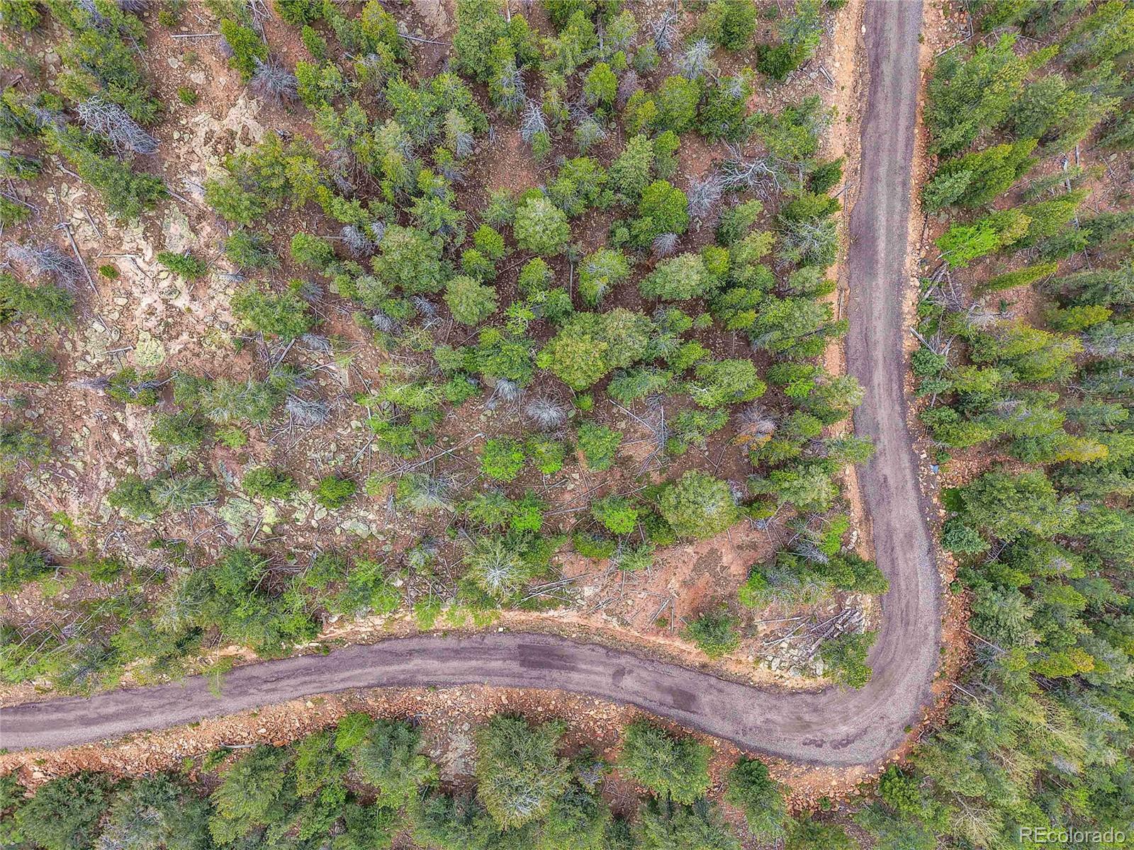 0 Mule Slide Trail Conifer, CO 80433 - Photo 33 of 40 a view of a yard
