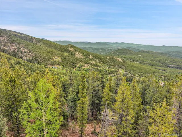 a view of a yard with a plants