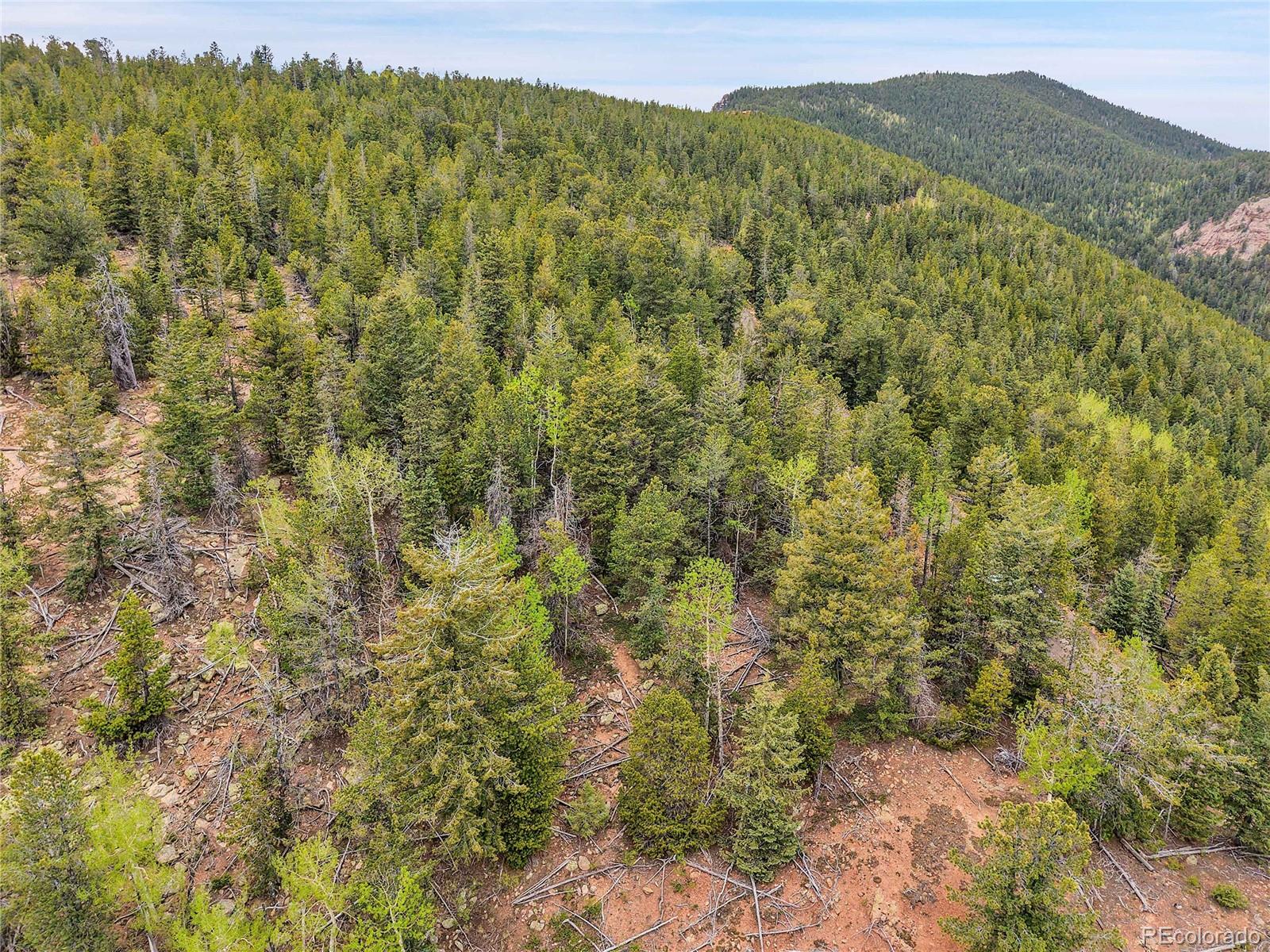 0 Mule Slide Trail Conifer, CO 80433 - Photo 38 of 40 a view of a lush green forest with a mountain