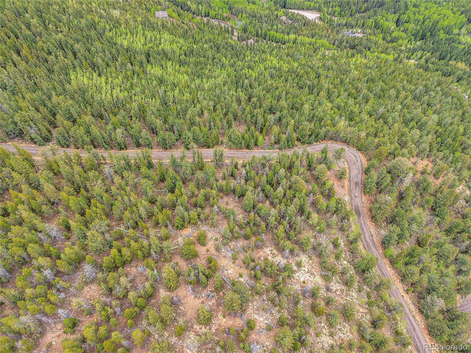 0 Mule Slide Trail Conifer, CO 80433 - Photo 39 of 40 a view of a yard with a plants