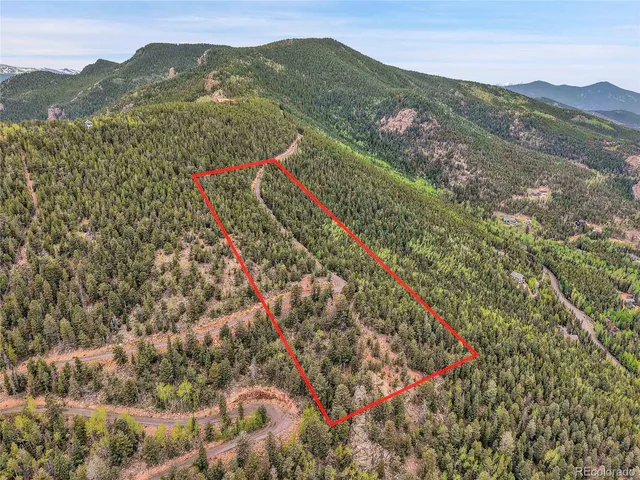 a view of a lush green field with a lot of flowers