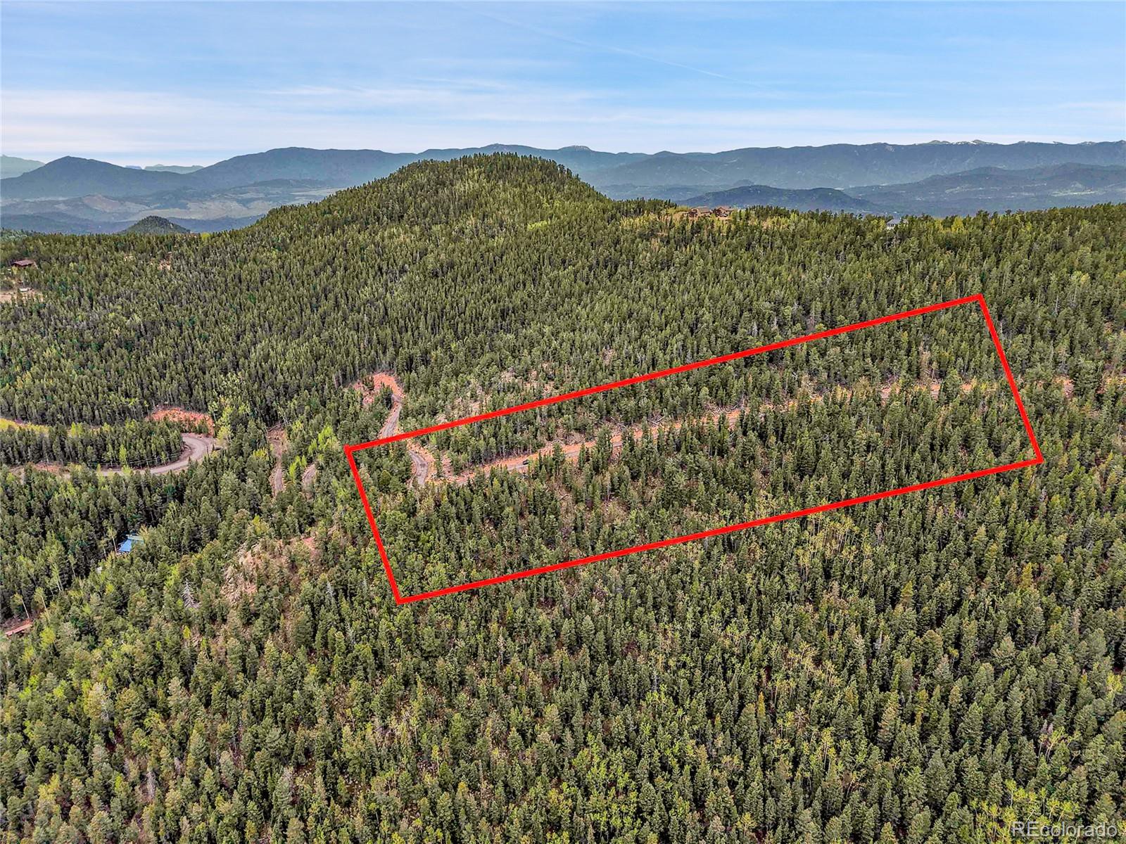 0 Mule Slide Trail Conifer, CO 80433 - Photo 6 of 40 a view of a lush green field with a lot of flowers