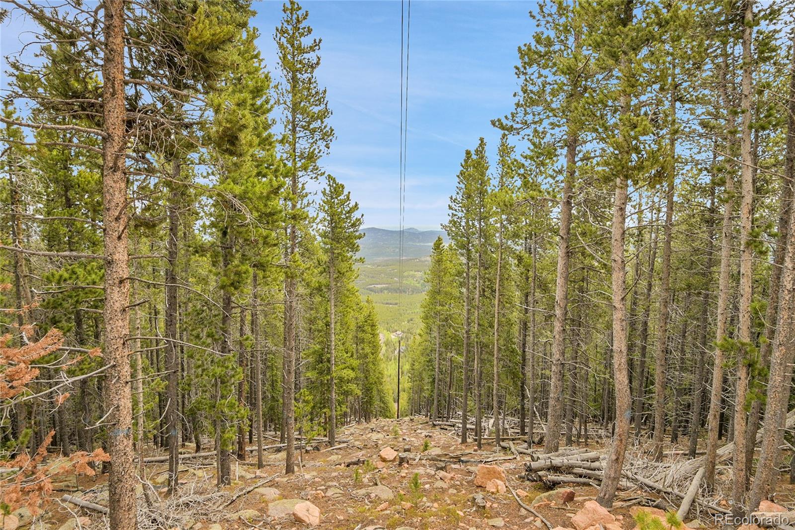 0 Mule Slide Trail Conifer, CO 80433 - Photo 9 of 40 a view of bathroom with shower
