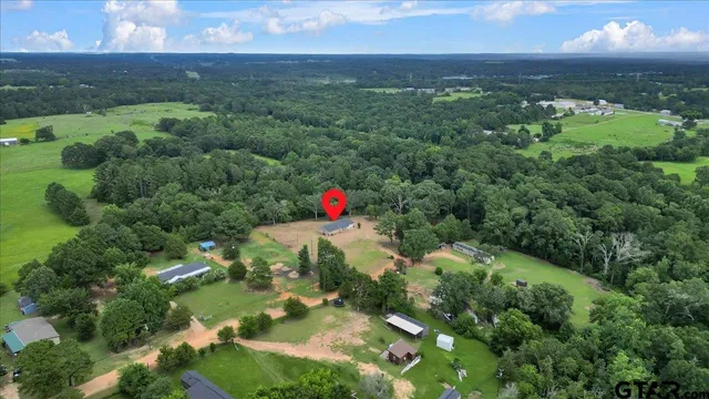 an aerial view of residential houses with outdoor space and trees