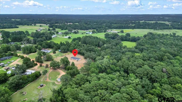 an aerial view of green landscape with trees houses and mountain view