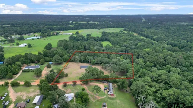 an aerial view of green landscape with trees houses and mountain view
