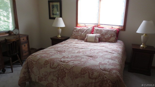10 Xebec Road Palmyra, VA 22963 - Photo 35 of 39