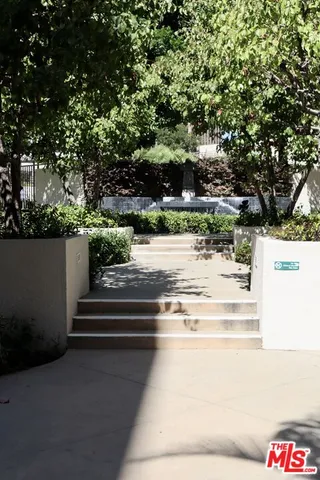 a view of backyard and tree