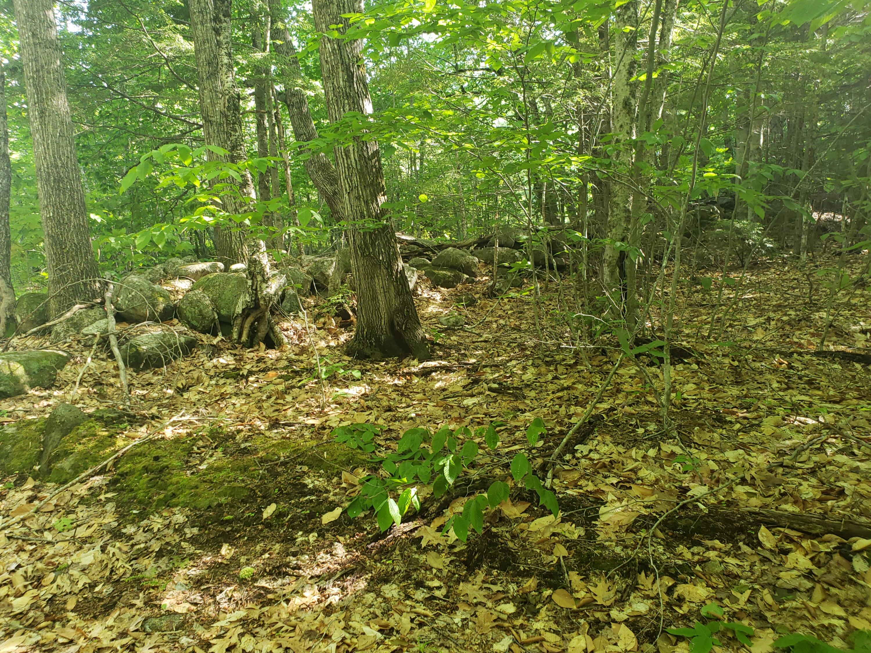 237 Middle Ridge Road Bridgton, ME 04009 - Photo 15 of 30 stonewalls