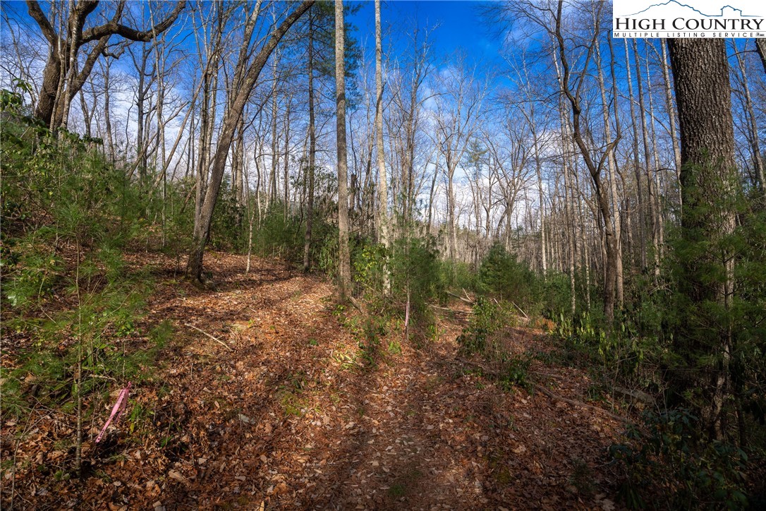 180 Marigold Road Boone, NC 28607 - Photo 2 of 21