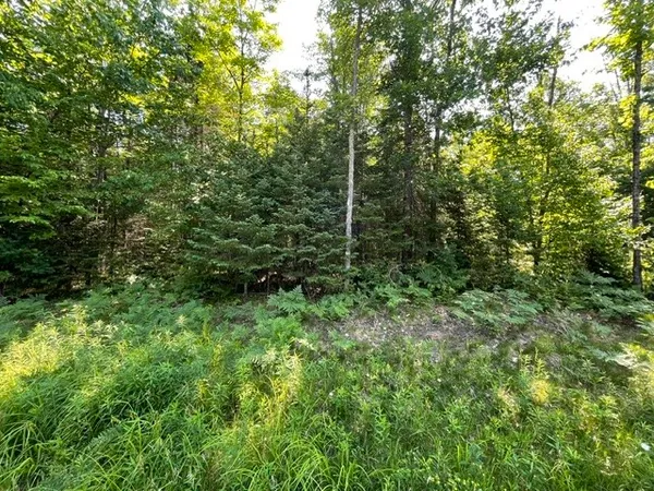$79,900 | 12552 North County Highway East, Hayward, WI 54843