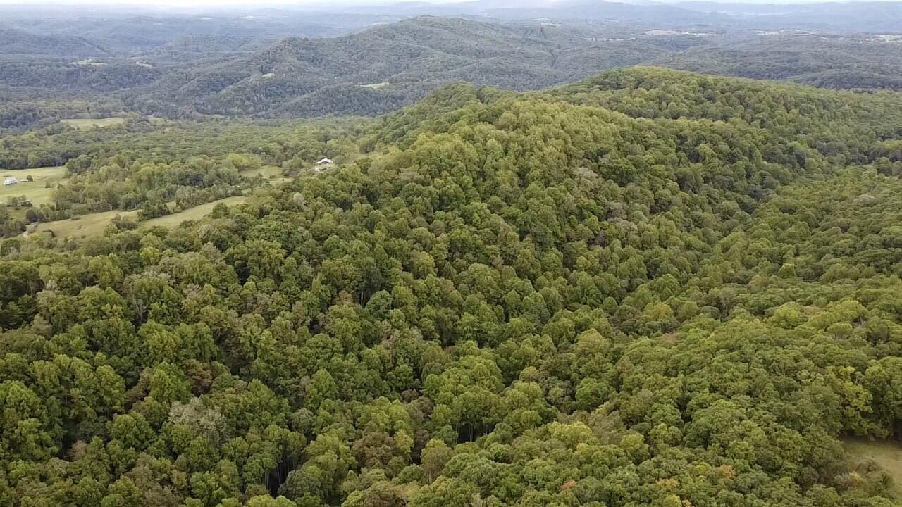 Sarton-wayside Rd Wayside Wv 24985 Union, WV 24983 - Photo 11 of 15 Gallery Image 11