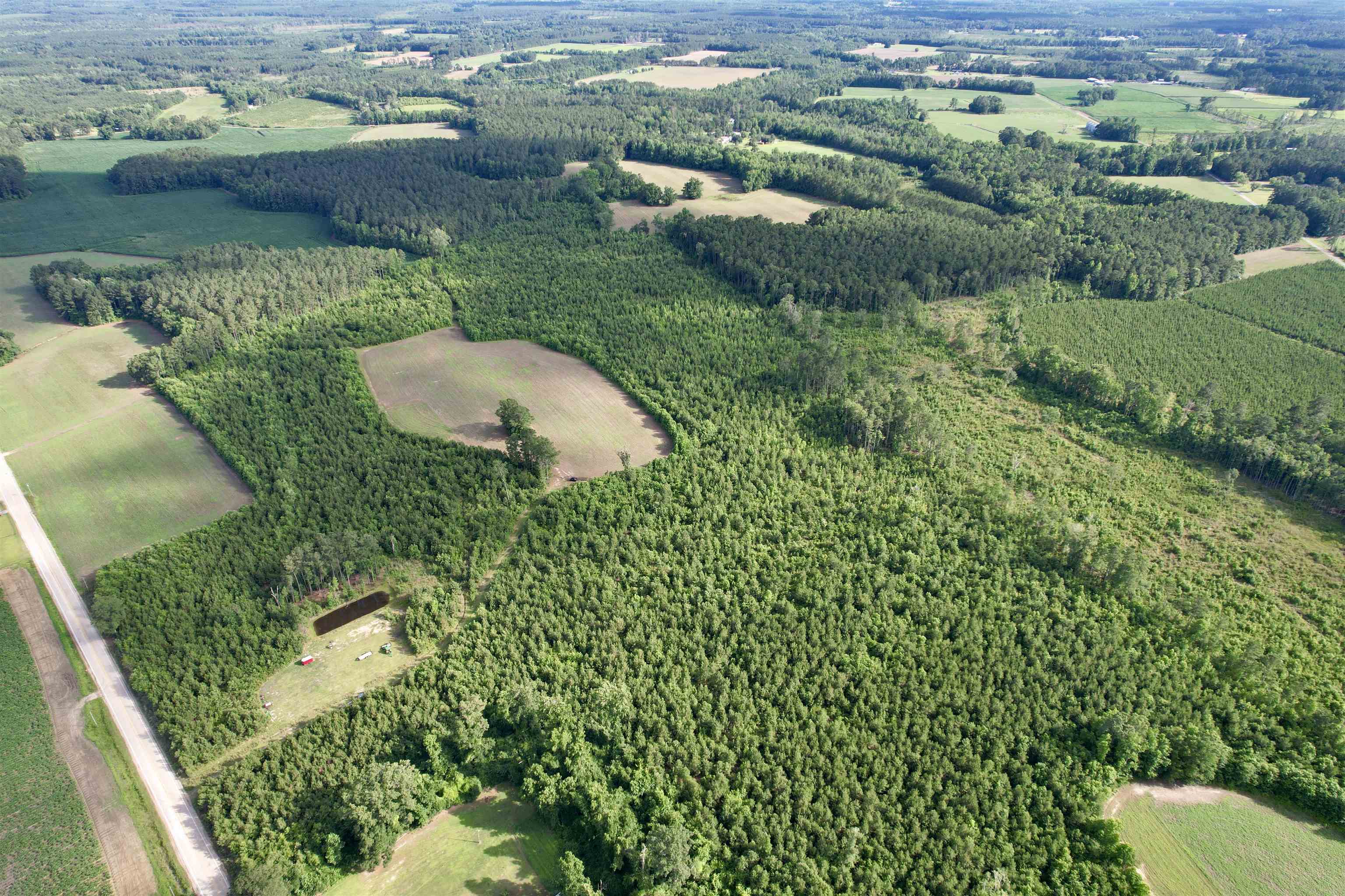 85-acres - Muddy Creek Road Hemingway, SC 29554 - Photo 24 of 31