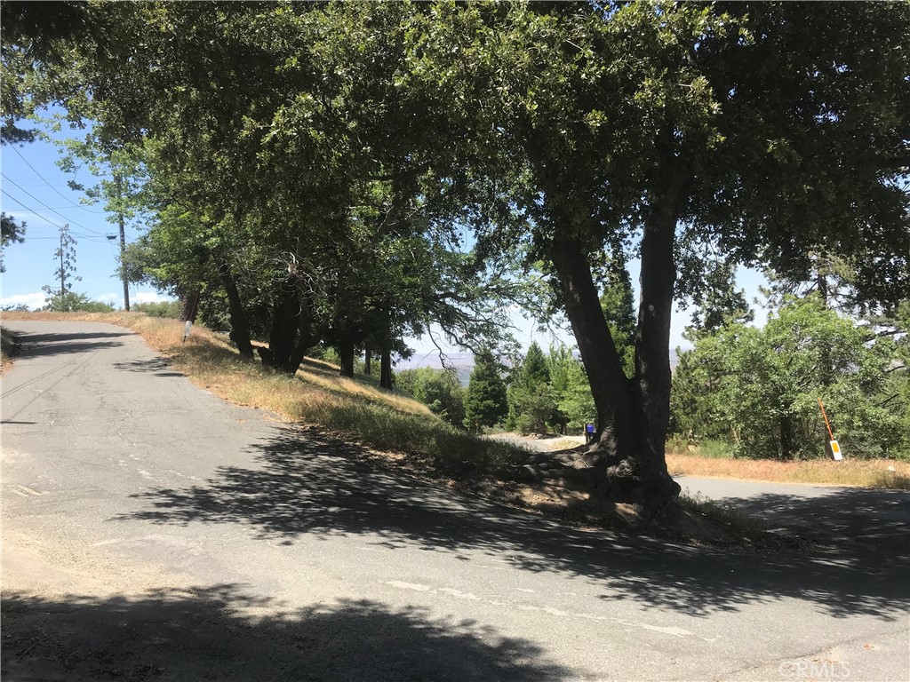 0 Buck Road Cedarpines Park, CA 92322 - Photo 5 of 6 a view of a yard with a tree