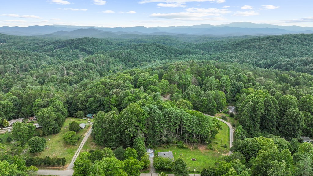 514 Ash Loop Road Blue Ridge, GA 30513 - Photo 24 of 24