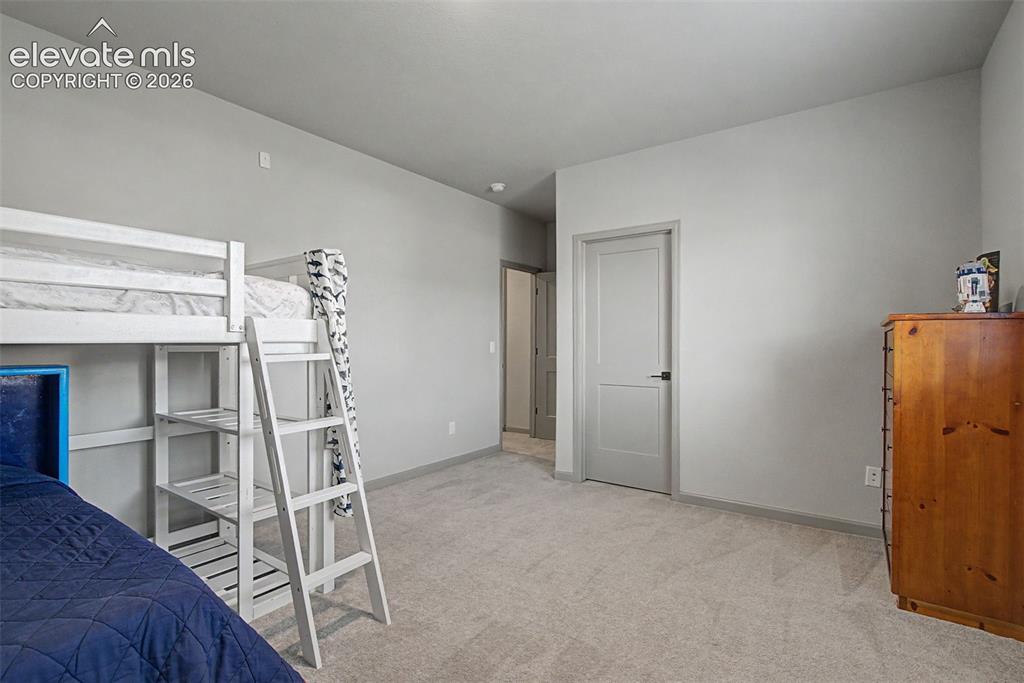 11634 Justify Drive Colorado Springs, CO 80921 - Photo 24 of 46