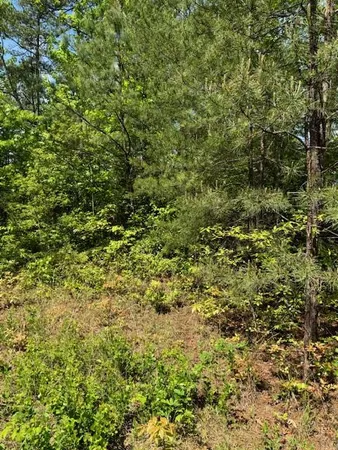 $26,880 | Lot 12 Paradise, Marble, NC 28905