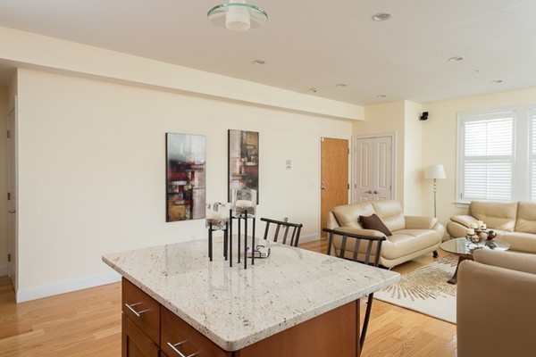 35 Coffey Street, Unit 1 Boston, MA 02122 - Photo 7 of 22