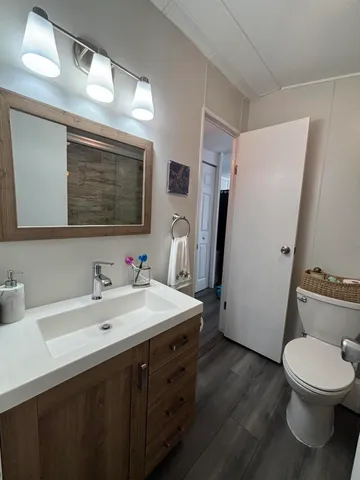 a bathroom with a sink a toilet and a large mirror