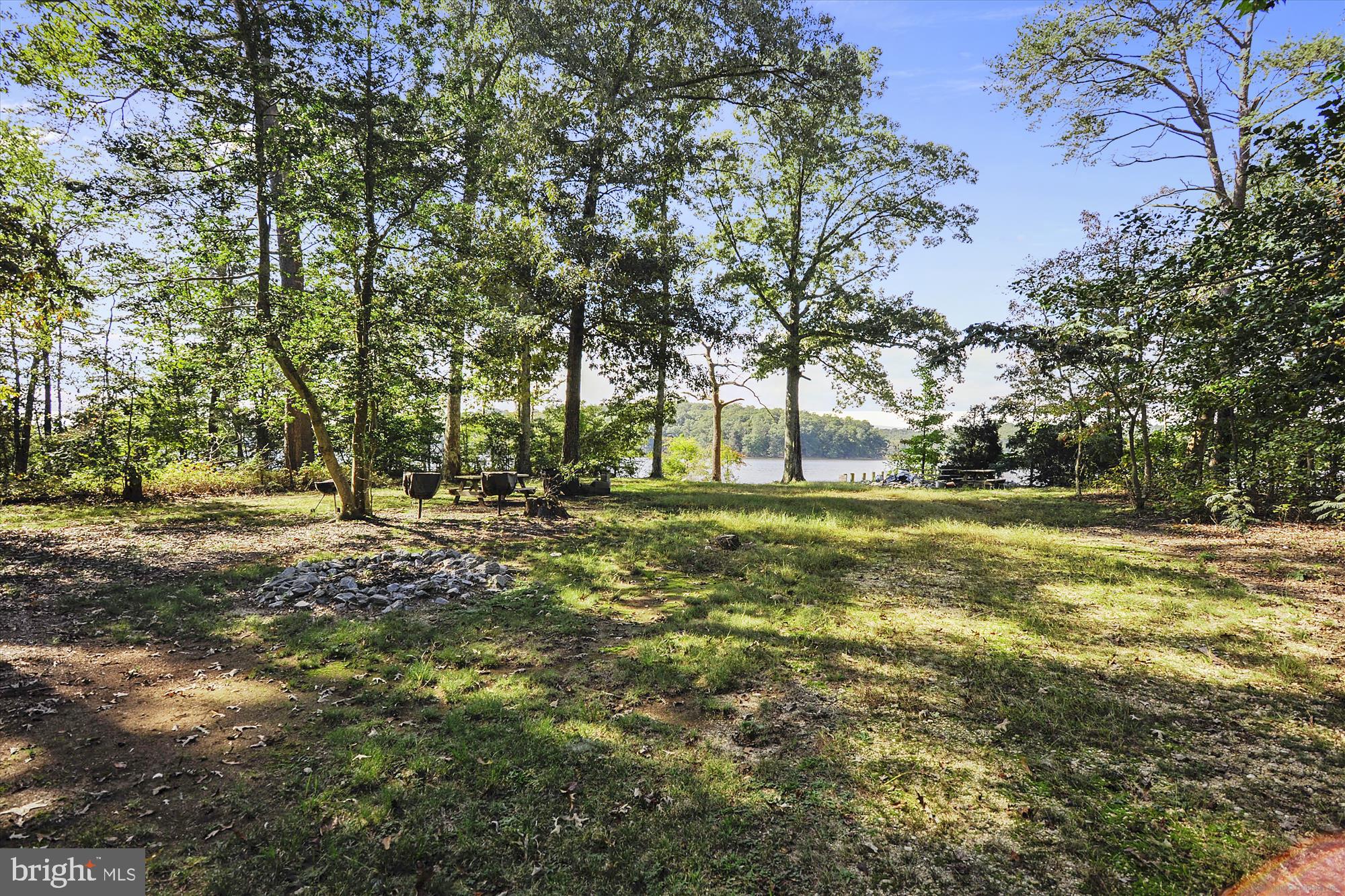 8475 Wedding Drive Welcome, MD 20693 - Photo 47 of 48 a view of yard with trees