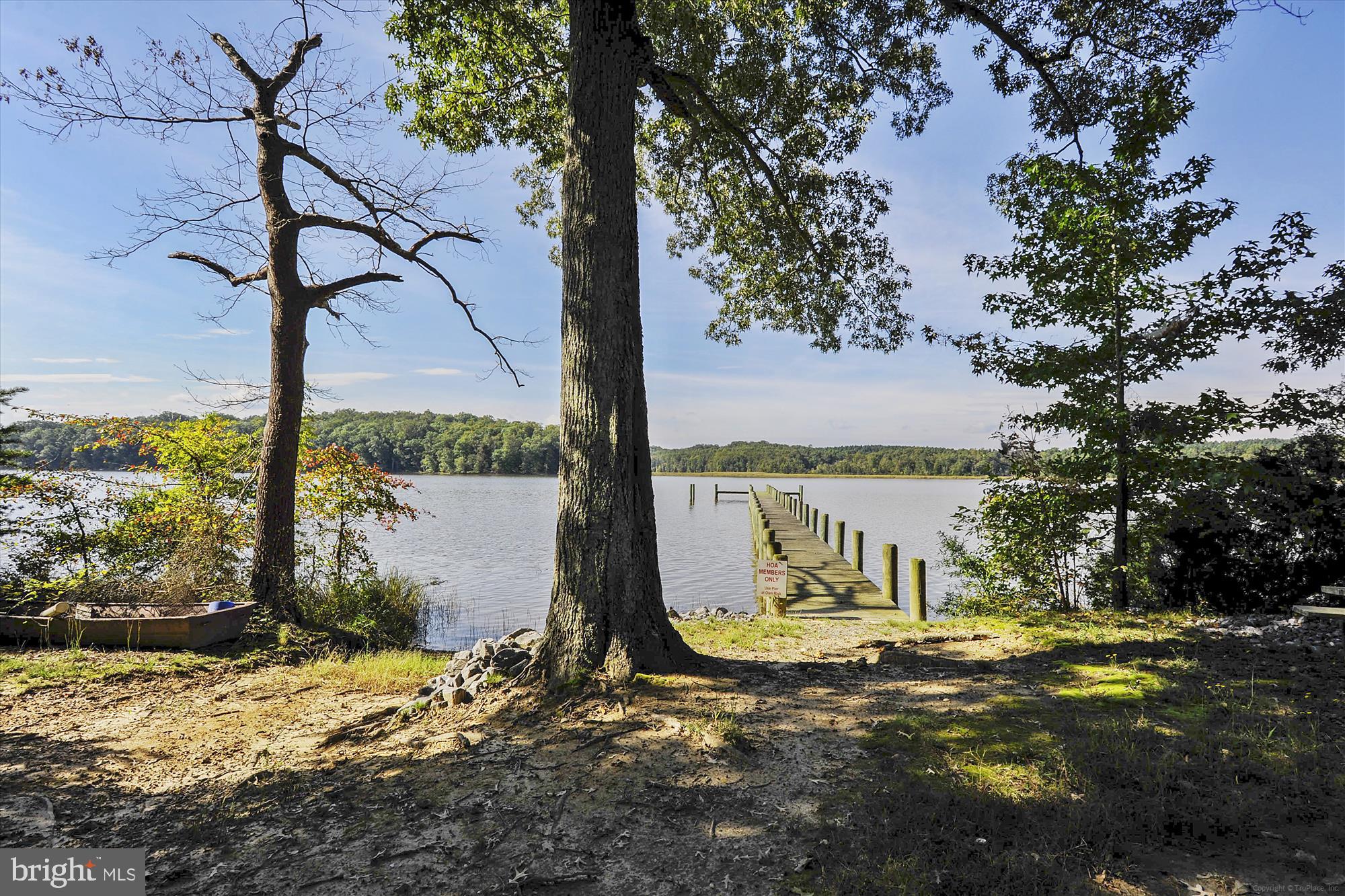 8475 Wedding Drive Welcome, MD 20693 - Photo 48 of 48 a view of a water fountain with a tree in the background