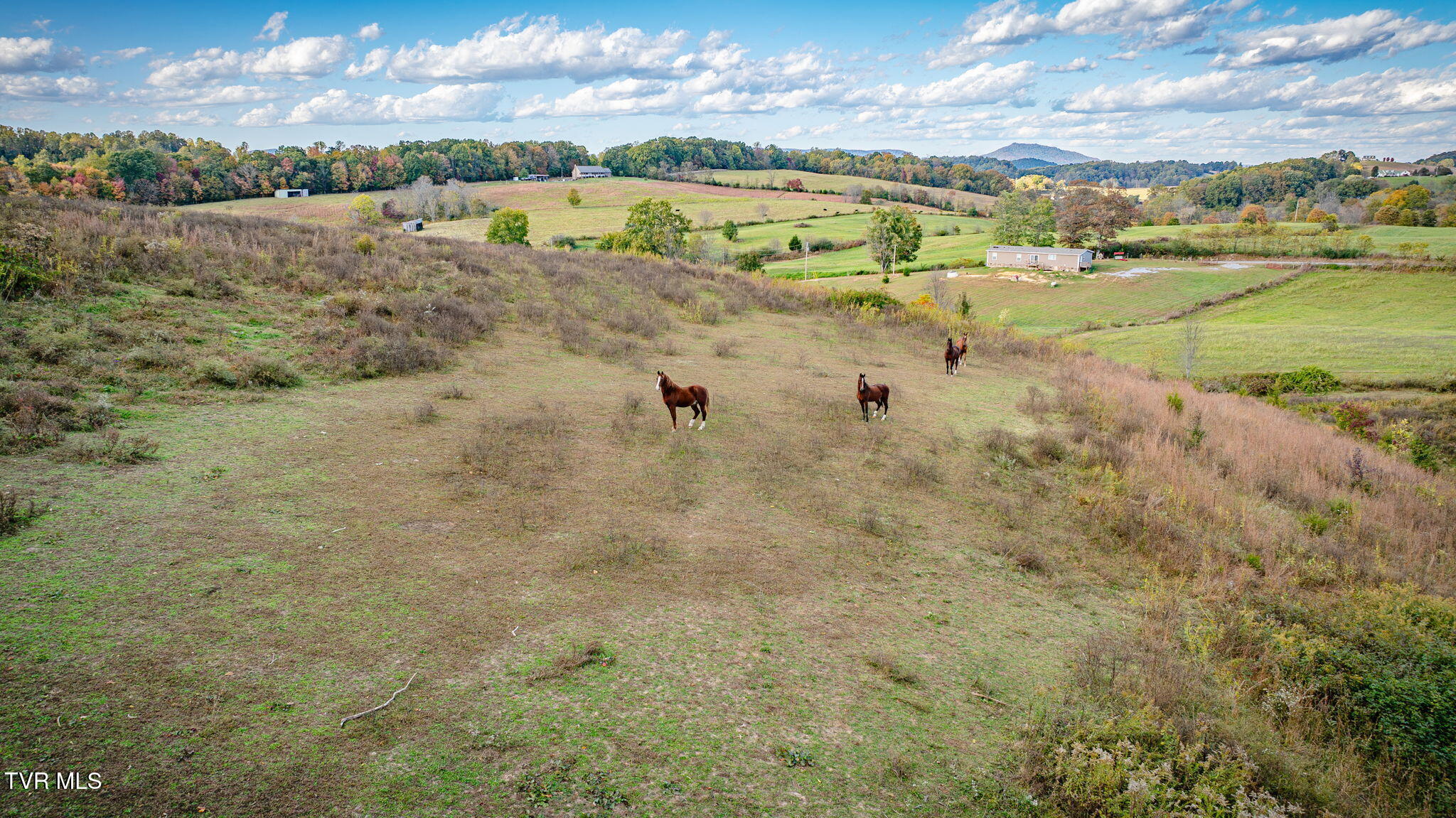 Tbd Teague Road, Unit 4 Chuckey, TN 37641 - Photo 3 of 11 117