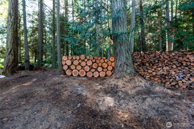 a view of outdoor space and yard